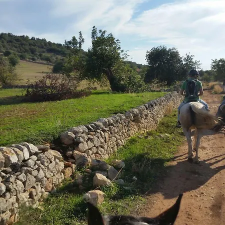 Casato Licitra